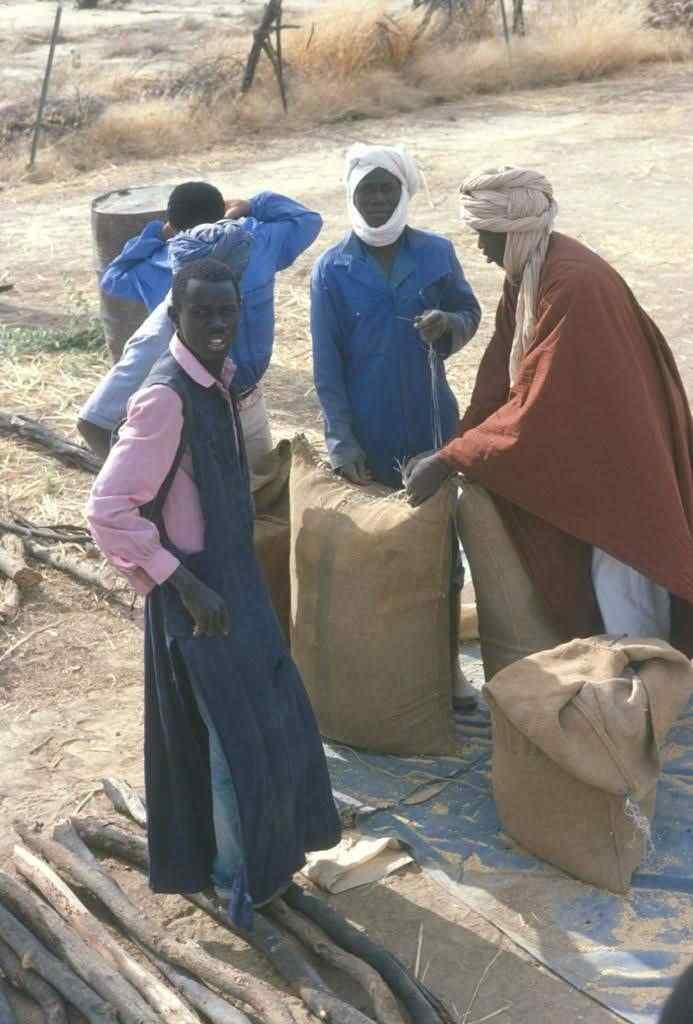 Kebe (l) and Mamadou (r) weigh rice in the fields