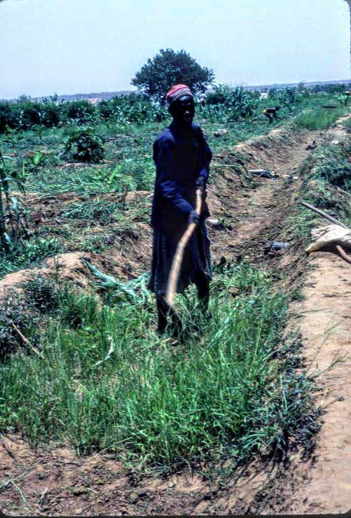 Awdy Ba clearing weeds from canals